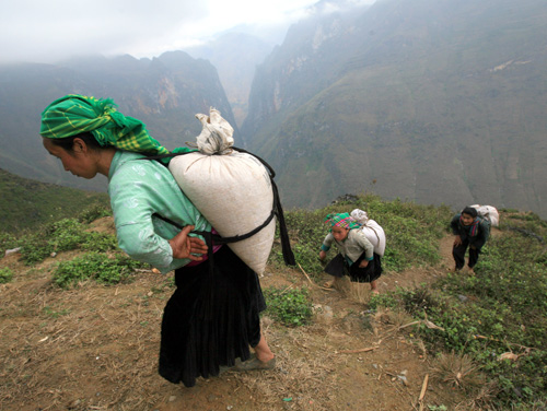 Người phụ nữ vùng cao thường xuyên phải gùi gạo, đồ dùng vượt những con đường núi.